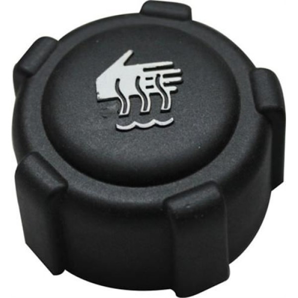 BEMOT 77101 Radyatör Yedek Su Depo Kapağı CLIO II III Megane II Solenza 