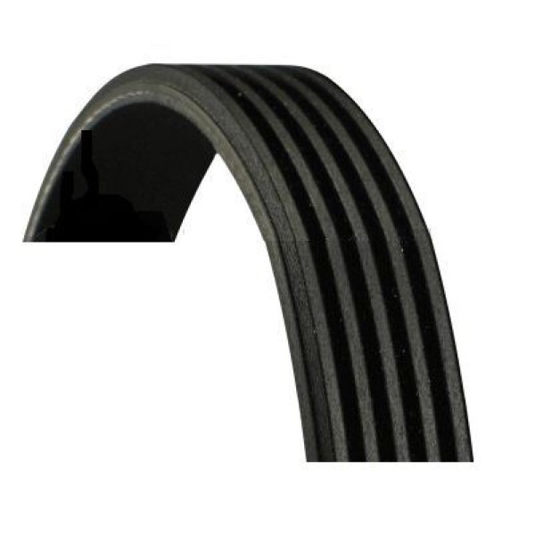 BANDO 5PK1135 V Kayışı CLIO Kangoo / Logan / Avensis 97-00 Carına 1.5Dc Acı