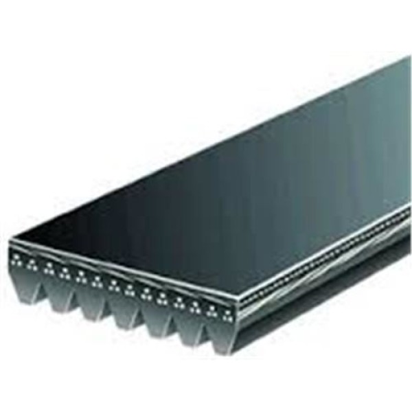 CONTITECH 7PK1666 Kanallı Kayış Bmw X5 E70 4.8 I 07-08 