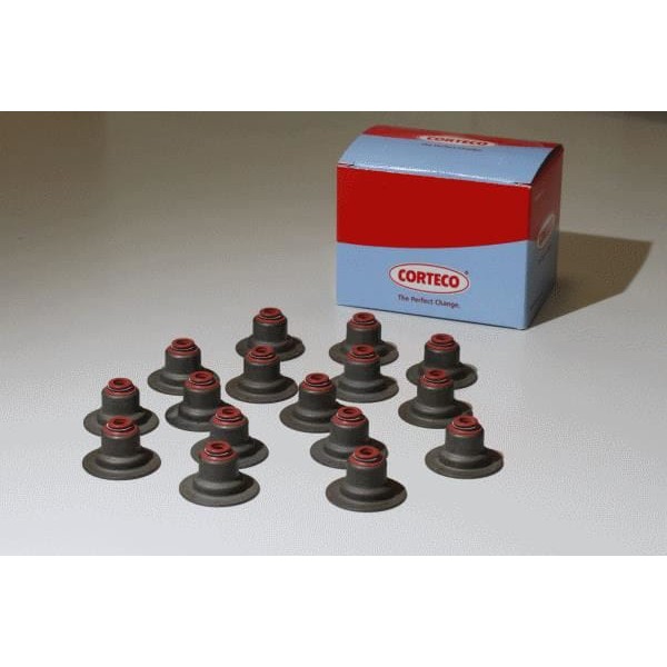 CORTECO 19036766 Subap Lastiği Ducato-Boxer-Jumper 2.2 06 