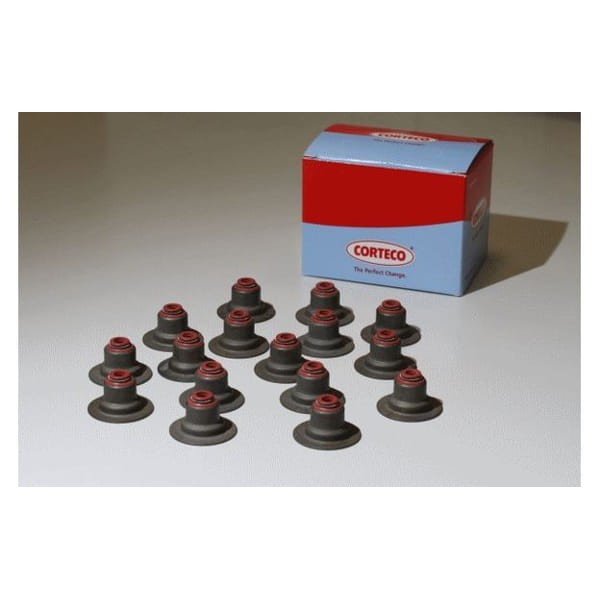 CORTECO 46023004 Subap Lastiği CLIO I II III CLIO II III Kangoo Megane II Megane I II Laguna I II /