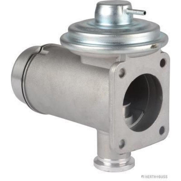 DELPHI EG10466-12B1 EGR Valfi (Bmw: 118D, 120D, 318D, 320D, 330D, 520D, 525D, 530D, 530Xd, 730D, X3, 