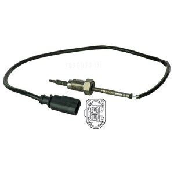 DELPHI TS30038 Egzoz Sıcaklık Sensöru T5 (09-15)Crafter (11-16) 