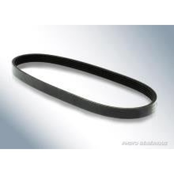 DONGIL 6PK1885 Alternatör Kayışı Focus 1.6 