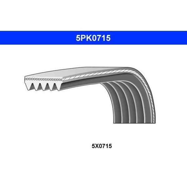 DAYCO 5PK0715 Kanallı Kayış Citroenfordpeugeot