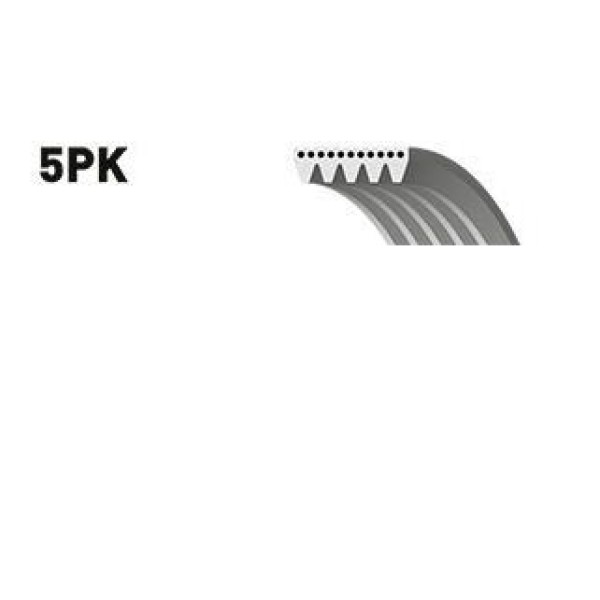 DAYCO 5PK0820 Kanallı Kayış 