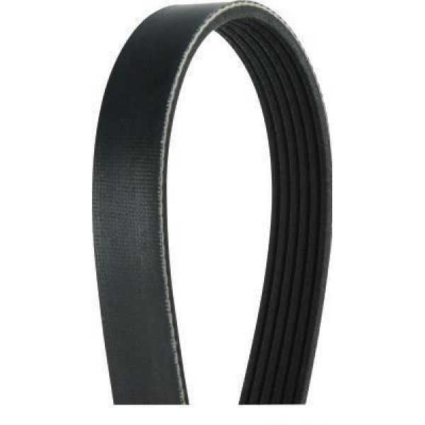 DAYCO 5PK2095 V Kayışı Bmwrover