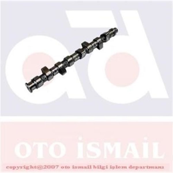 ESTAS 45038 Eksantrik Mili CLIO Kangoo Megane / Logan 1.5 DCI Döküm 