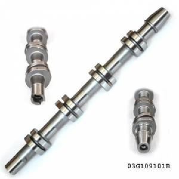 ESTAS 45082 Eksantrik Mili Emme Megane II Laguna II 1.6 16V Okuyuculu Döküm