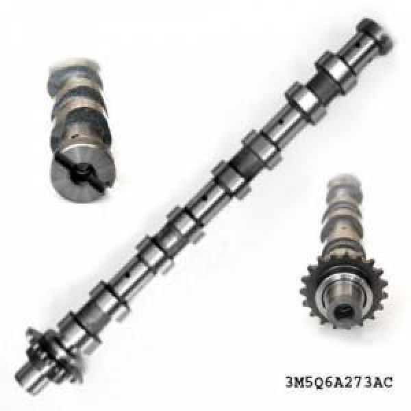 ESTAS 45083 Eksantrik Mili Egzoz Megane II Laguna II 1.6 16V Okuyuculu Döküm 