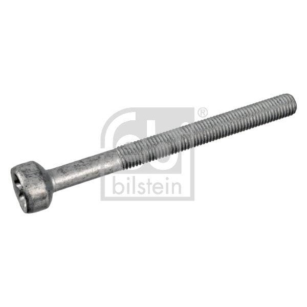 FEBI BILSTEIN 172930 Enjektör Civatası W176 W246 