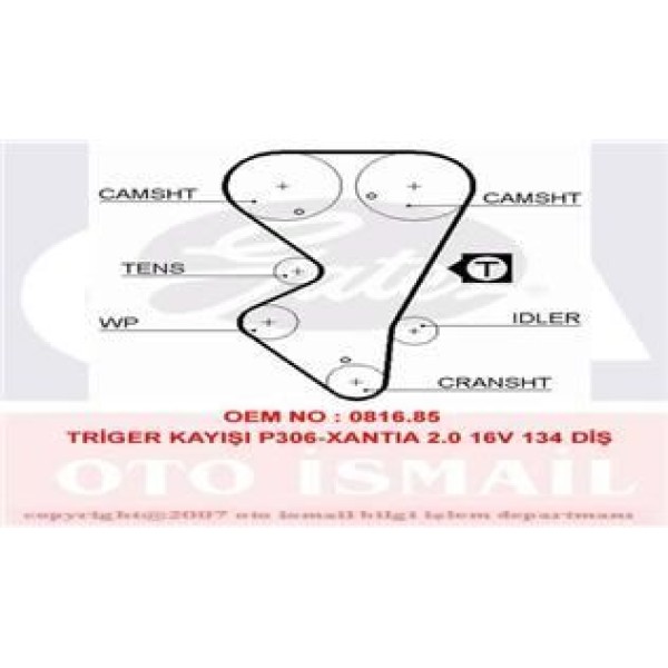 GATES 5412XS Triger Eksantrik Kayışı 306 405 / Zx Xantıa 2.0 16V 134X254