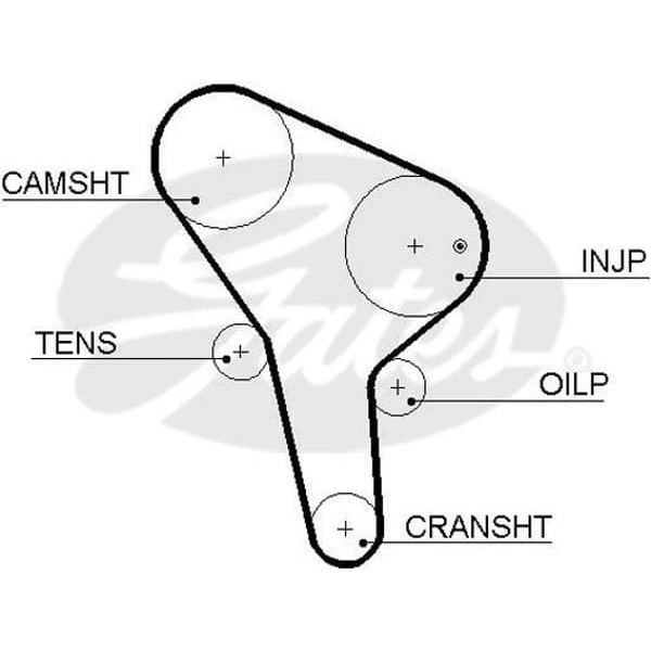 GATES 5455XS Triger Kayışı Ford 