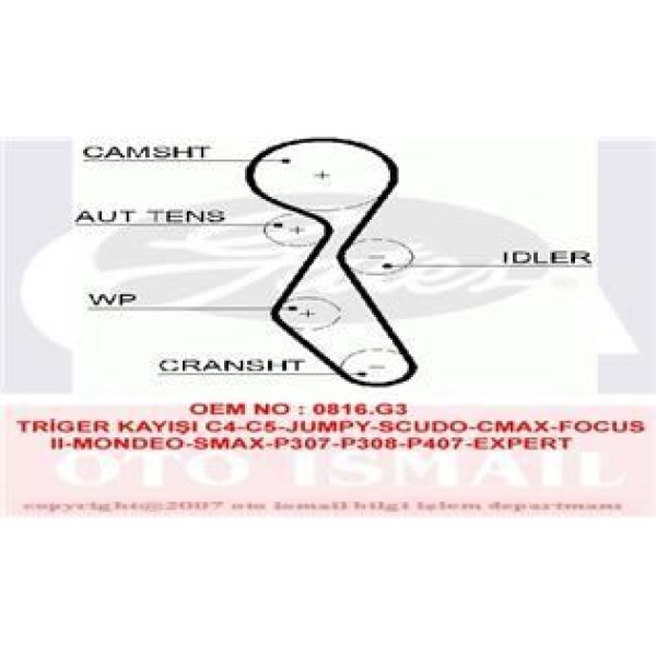 GATES 5606XS Triger Eksantrik Kayışı Scudo / 307 308 407 806 807 Expert / C4 C5 C6 C8 / Cmax Focus I