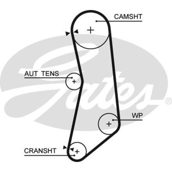 GATES 5627XS Triger Eksantrik Kayışı Palio Albea Linea Doblo Fiorino Idea Grande Punto / Ka 1.2 1.4 