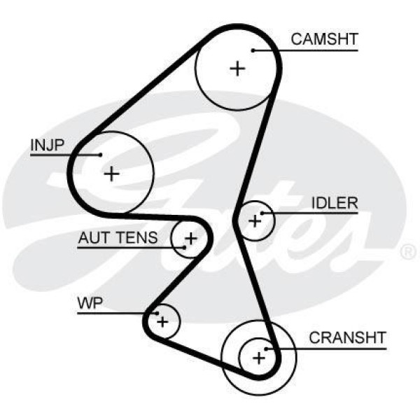 GATES 5656XS Triger Eksantrik Kayışı 207 308 3008 / C3 Berlingo / Cmax Fiesta Focus 1.6 HDI Dv6 141X 