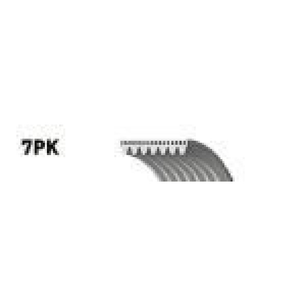GATES 7PK1275T V Kayışı Kanallı Navara Pathfınder 