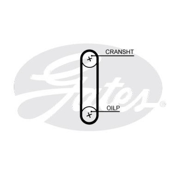 GATES T357HOB Tırger Kayışı Yağda Çalışan Ford : Fiesta C.Max B.Max 1.0 Ecoboost 12- Connect 1.0 Eco