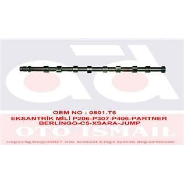 GEMSAFT PTPRT03 Eksantrik Mili 206 307 406 Partner Expert / Xantıa Berlingo Jumpy 2.0 HDI Dw10