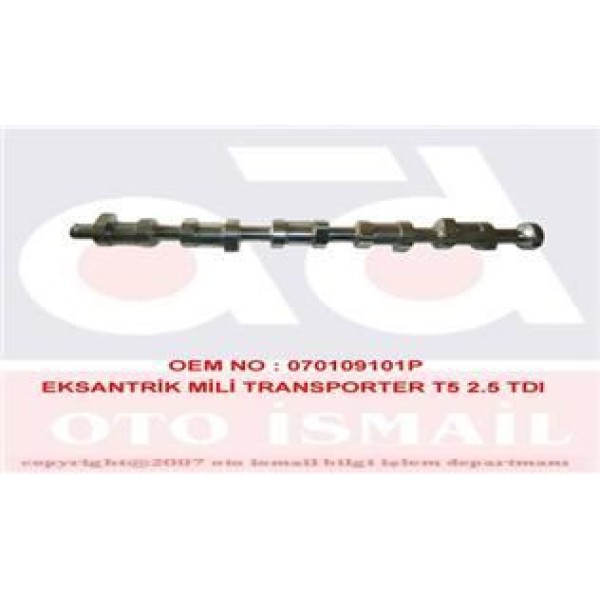 GEMSAFT VWTNP05 Eksantrik Mili Passat 05- Caddy III 04- Transporter T5 1.9 TDI Bjb Axb Axc