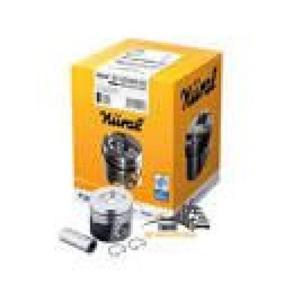 GOETZE ISS 87-72159-STD Piston Segman Std 83.00 Amarok 3.0TDI 16 Ddxa-Ddxb-Ddxc-Ddxd 