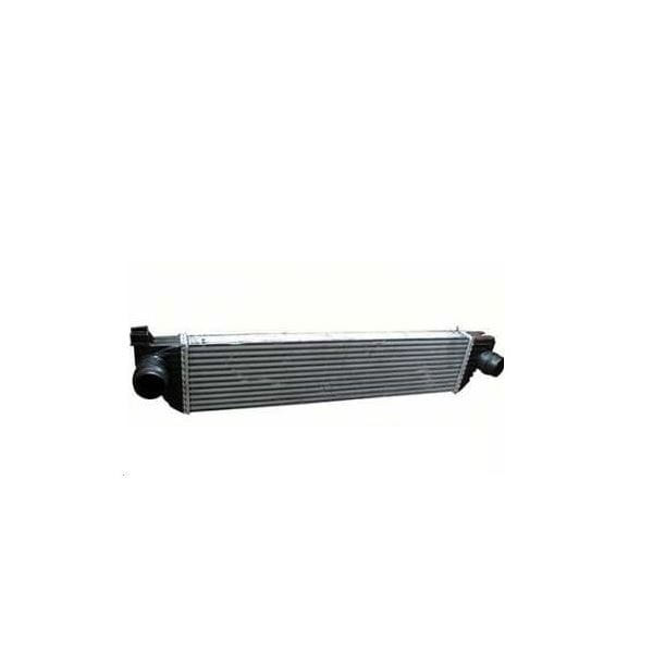 GUA 40717 Turbo Intercooler CLIO Symbol 01- CLIO II 04- 1.5 DCI 