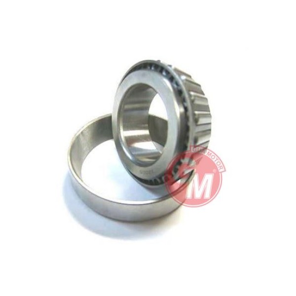 GUA 40821 Arka Teker Rulmanı Renault 12 Em -30205A İç 