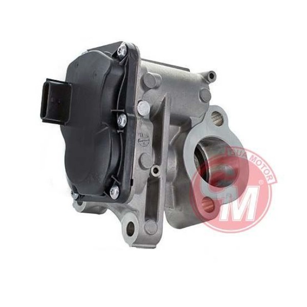 GUA 41134 EGR Valfi Renault Megane III Trafic III Qashqai 1.6DCI 