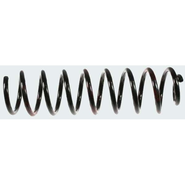 GUNSAN 20085 Helezon Yayı Arka Megane II 