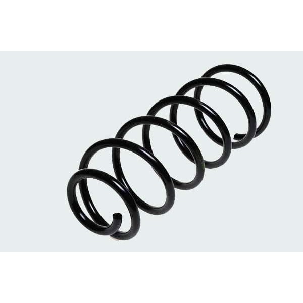 GUNSAN 584 Helezon Yayı Arka Tipo