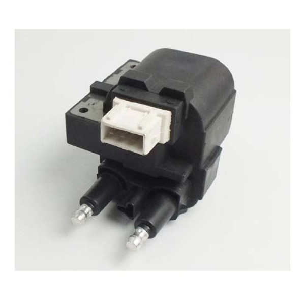 GVA 5018002 Ateşleme Bobini Megane 96-99 1.6 Beyaz Soket