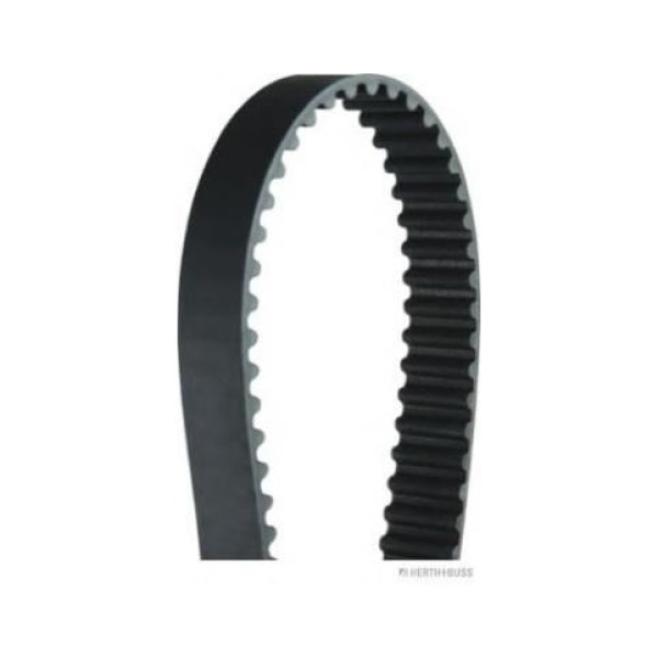 HUTCHINSON 116HTDP19 Triger Eksantrik Kayışı R21 Concorde Safrane 116X190 