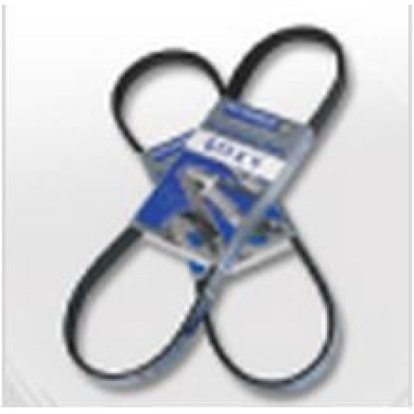 HUTCHINSON 6PK1130 V Kayışı 306 405 / Xsara 1.9D