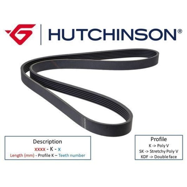 HUTCHINSON 6PK1682 V Kayışı R19 R21 / Partner / Berlingo Jumpy / Escort Ac 
