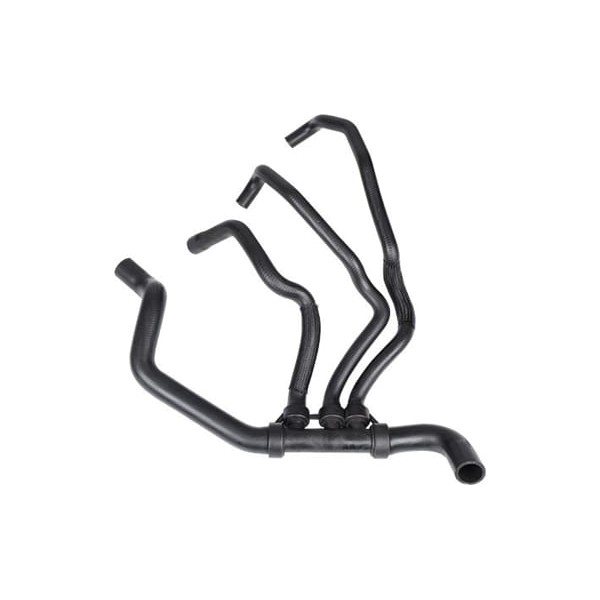 IBRAS 11549 Radyatör Hortumu Alt Megane II 02- 1.9 DCI F9Q