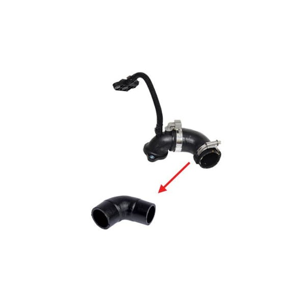 IBRAS 11739 Turbo Hortumu Plastik Parça Harıç Kangoo II CLIO III Twingo Megane II -Thalia Logan Dust