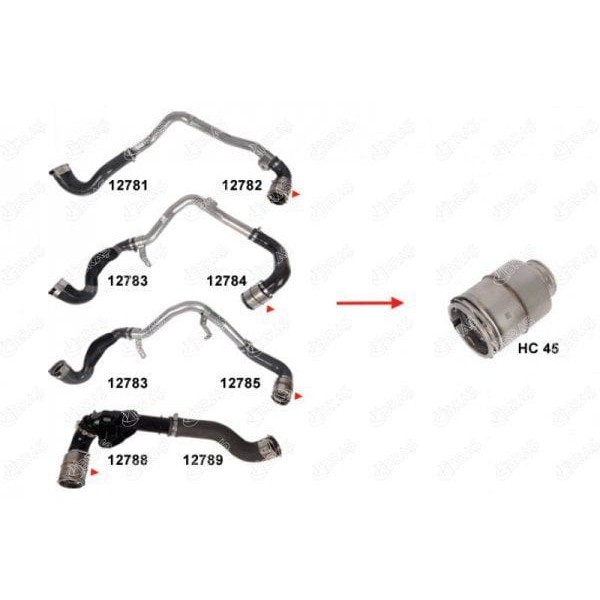 IBRAS 12790 Turbo Hortumları Nv400 Platform Şasi X62. X62B Dci 130 M9T704