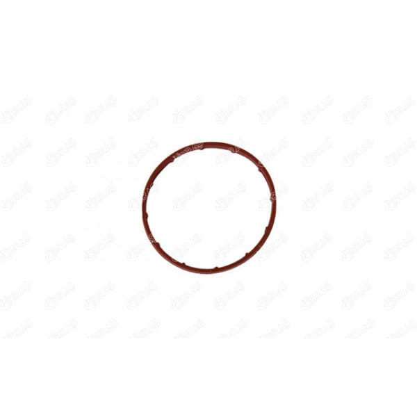 IBRAS 14781 Vakum Pompa Contası Fiat Ducato II 2.0 Jtd Peugeot Partner-Bipper-406-307-207 1.4-2.0-2. 