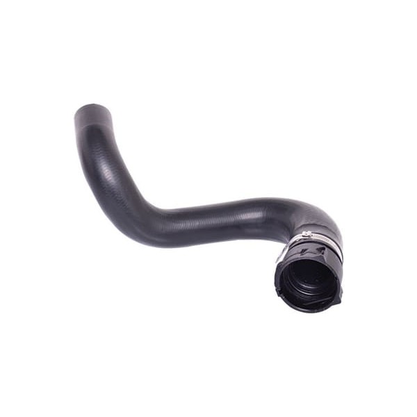 IBRAS 15921 Radyatör Hortumu Alt Gıulıetta 10-