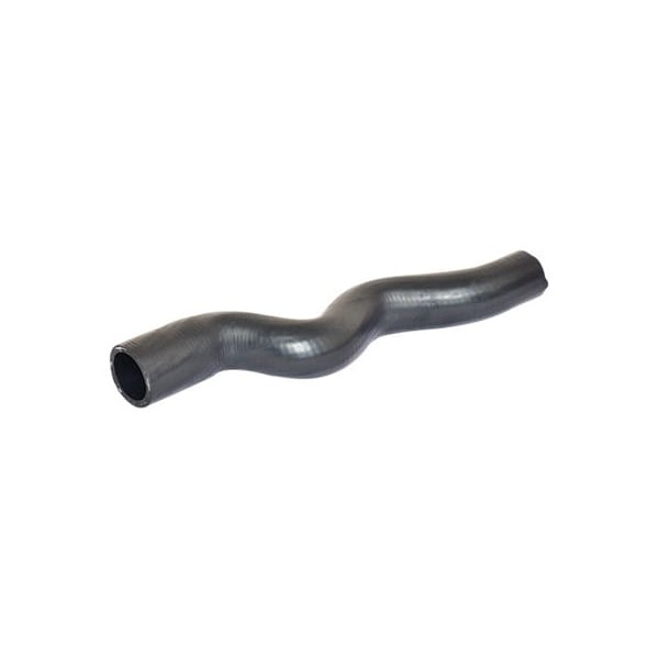 IBRAS 17351 Radyatör Üst Hortumu P307