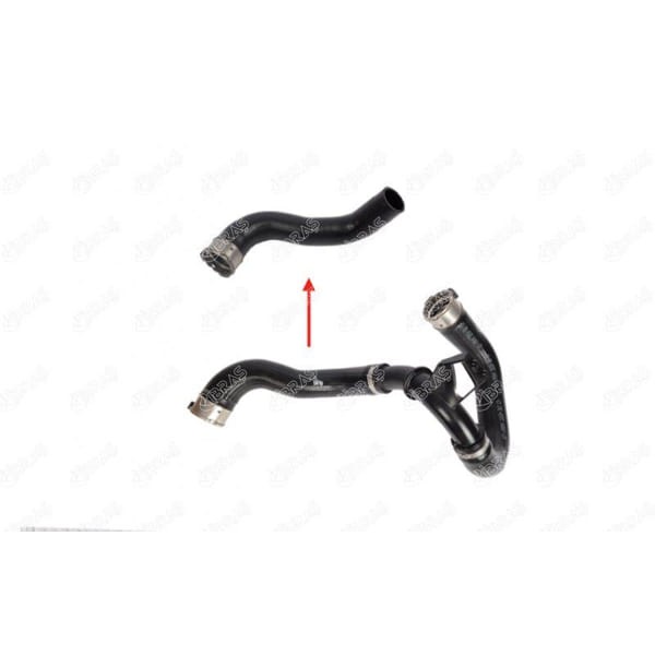 IBRAS 21726 Radyatör Üst Hortumu Kia Rıo