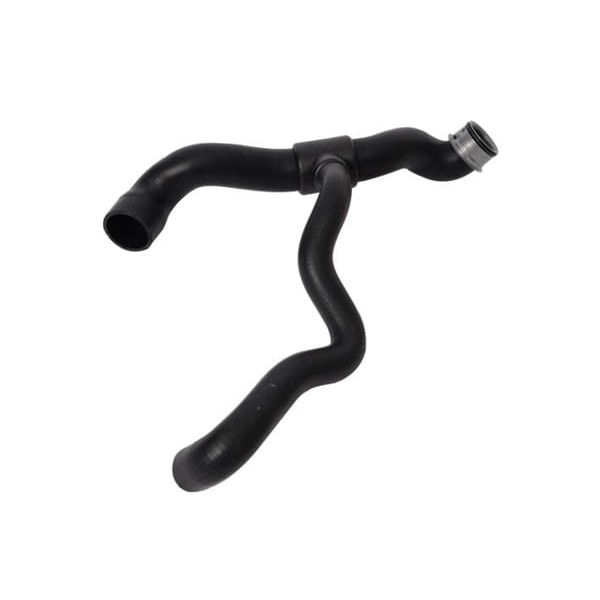 IBRAS 33110 Radyatör Hortumu Alt Mercedes C240 C320 01-05