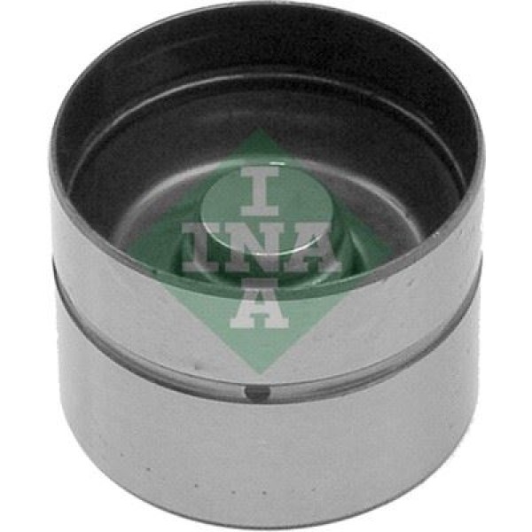 INA 420010110 Subap Fincanı Boxer / Jumper 2.5 TDI 