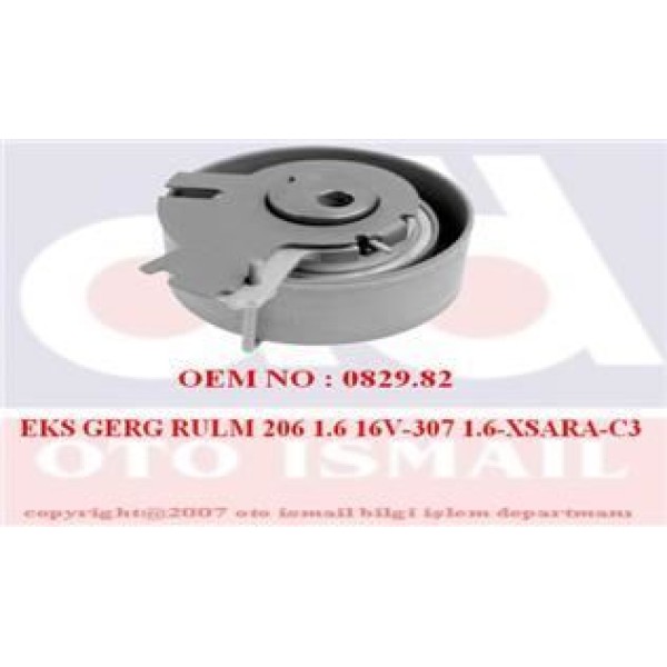 INA 531047810 Triger Eksantrik Gergi Rulmanı 206 307 1.6 16V Tu5Jp4 Em