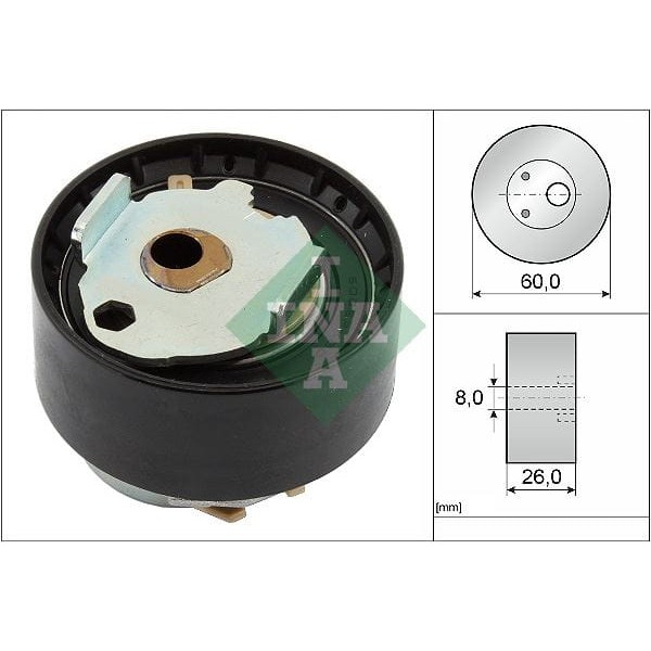 INA 531091910 Eksantrik Gergi Seti 