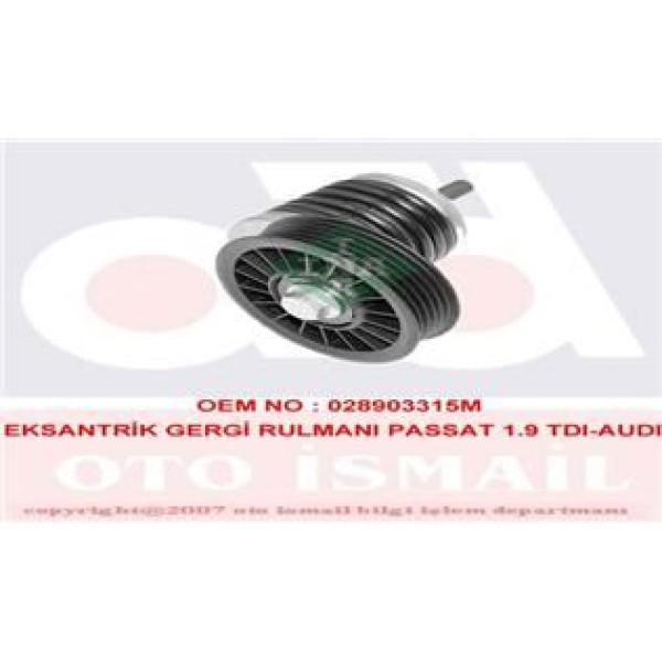 INA 534018510 Alternatör V Kayış Gergi Rulmanı Gerdırıcı Passat 1.9 TDI 96-00 A4 1.9TDI 95-01 A6 1.9