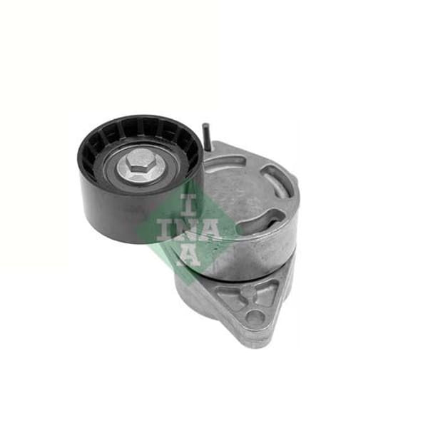 INA 534031710 V Kayış Gergi Rulmanı Laguna II Espace IV Trafic II Master II III / Interstar Prıma 2.