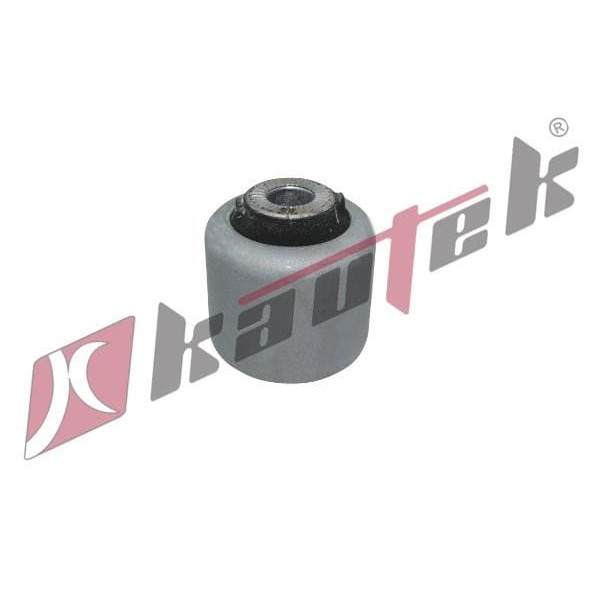 KAUTEK BM-BS114 Bmw X3 (F25) Denge Kol Burcu