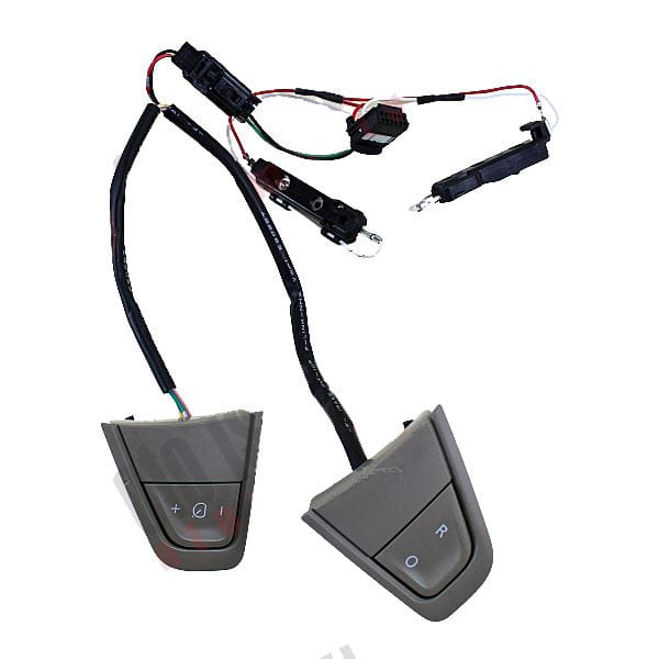 OEK 255500002R Hız Regülatör Butonu Megane III-Fluence-CLIO IV-Scenic III-Lgn III