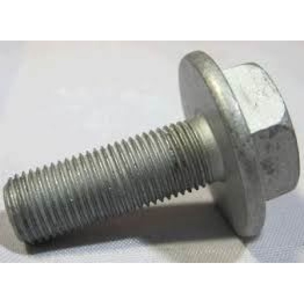 OEK 8200718048 Eksantrik Civatası CLIO-Kng-Megane II-Logan 1.5Dci 